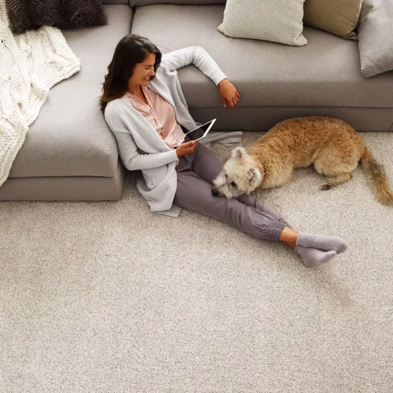 Carpet-Care-1024x768.original